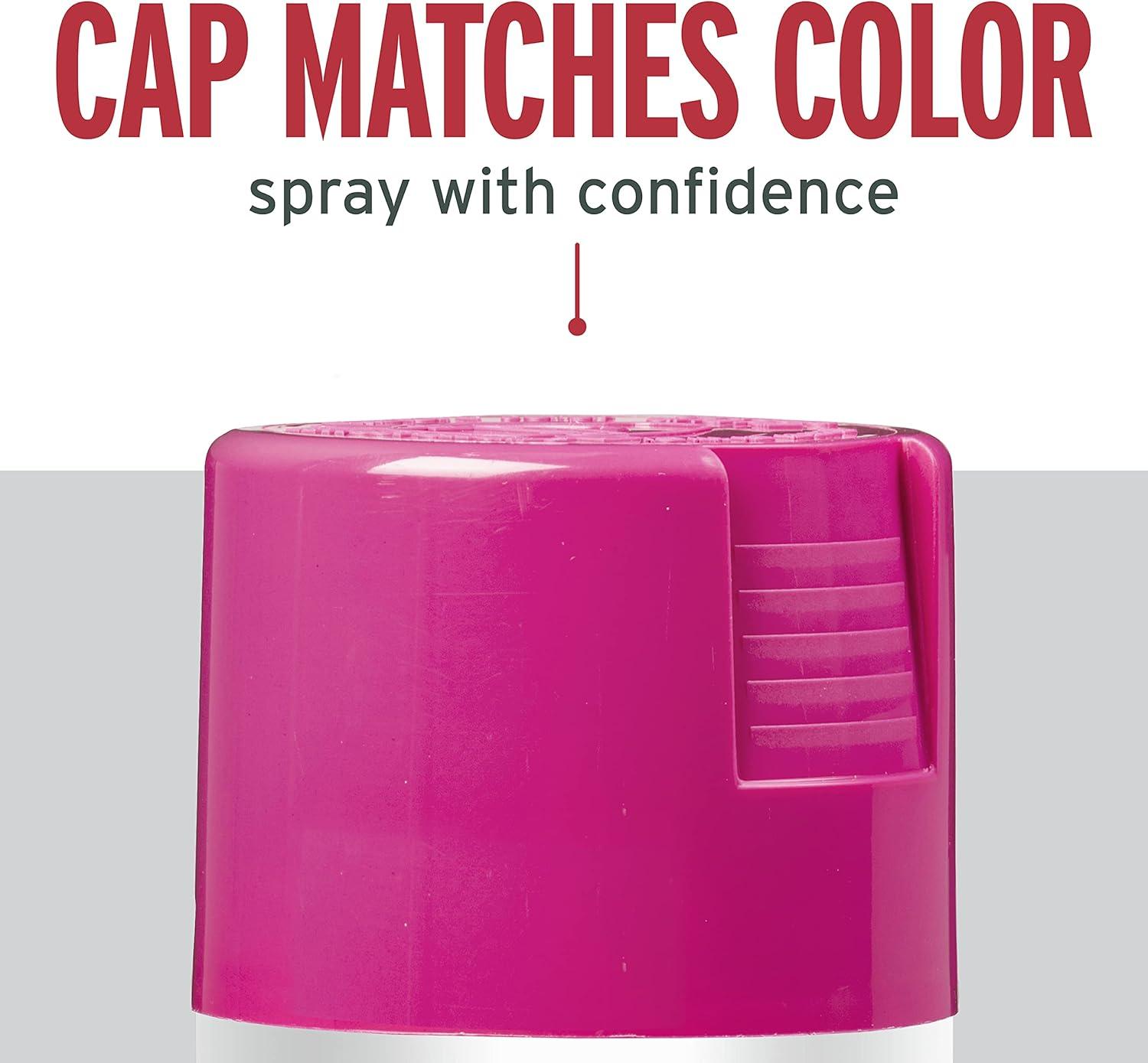 image:imageRustOleum 7798830 Stops Rust Spray Paint 12 oz SemiGloss BlackGloss Poppy Pink