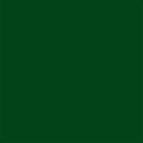 image:imageRustOleum 267334 Painters Touch Latex Paint Quart Satin Hunt Club Green 1 Quarts Pack of 1Gloss Hunter Green