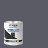 Rust-Oleum 267334 Painter’s Touch Latex Paint, Quart, Satin Hunt Club Green, 1 Quarts (Pack of 1)(Gloss Dark Gray)