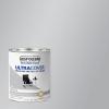 Rust-Oleum 267334 Painter’s Touch Latex Paint, Quart, Satin Hunt Club Green, 1 Quarts (Pack of 1)(Metallic Silver)