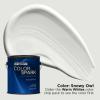 Rust-Oleum Color Spark Interior Paint and Primer in One, Eggshell, Almond Macaron, 1 Gallon(Snowy Owl)