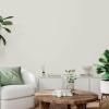 Rust-Oleum Color Spark Interior Paint and Primer in One, Eggshell, Almond Macaron, 1 Gallon(Tundra)