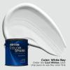Rust-Oleum Color Spark Interior Paint and Primer in One, Eggshell, Almond Macaron, 1 Gallon(White Bay)