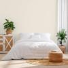 Rust-Oleum Color Spark Interior Paint and Primer in One, Matte, Ethereal, 1 Gallon(Almond Macaron)