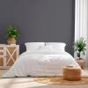 Rust-Oleum Color Spark Interior Paint and Primer in One, Matte, Ethereal, 1 Gallon(Carbon Copy)