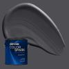 Rust-Oleum Color Spark Interior Paint and Primer in One, Matte, Ethereal, 1 Gallon(Carbon Copy)