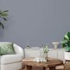 Rust-Oleum Color Spark Interior Paint and Primer in One, Matte, Ethereal, 1 Gallon(Dolphin)