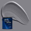 Rust-Oleum Color Spark Interior Paint and Primer in One, Matte, Ethereal, 1 Gallon(Graphite)