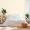 Rust-Oleum Color Spark Interior Paint and Primer in One, Matte, Ethereal, 1 Gallon(Meringue)