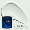 Rust-Oleum Color Spark Interior Paint and Primer in One, Matte, Ethereal, 1 Gallon(Persephone)