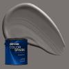Rust-Oleum Color Spark Interior Paint and Primer in One, Matte, Ethereal, 1 Gallon(River Rock)