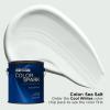 Rust-Oleum Color Spark Interior Paint and Primer in One, Matte, Ethereal, 1 Gallon(Sea Salt)
