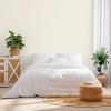 Rust-Oleum Color Spark Interior Paint and Primer in One, Matte, Ethereal, 1 Gallon(Snowy Owl)