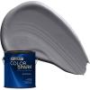 Rust-Oleum Color Spark Interior Paint and Primer in One, Eggshell, Almond Macaron, 1 Gallon(Graphite)