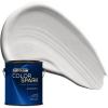 Rust-Oleum Color Spark Interior Paint and Primer in One, Eggshell, Almond Macaron, 1 Gallon(Wishbone)