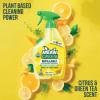 Mean Green Refillable Ultra Powered CONCENTRATE Multi Purpose Cleaner, Citrus & Green Tea, 14.3 fl oz(14.3 Fl Oz (Pack of 1))