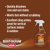 Rust-Oleum Whink Rust Stain Remover | Heavy-Duty Iron Stain Remover Foaming Spray with Excellent Cling for Toilets, Showers, Sinks, Outdoor Siding | 24 oz(24 Fl Oz (Pack of 4))