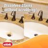 Rust-Oleum Whink Rust Stain Remover | Heavy-Duty Iron Stain Remover Foaming Spray with Excellent Cling for Toilets, Showers, Sinks, Outdoor Siding | 24 oz(6 Fl Oz (Pack of 1))
